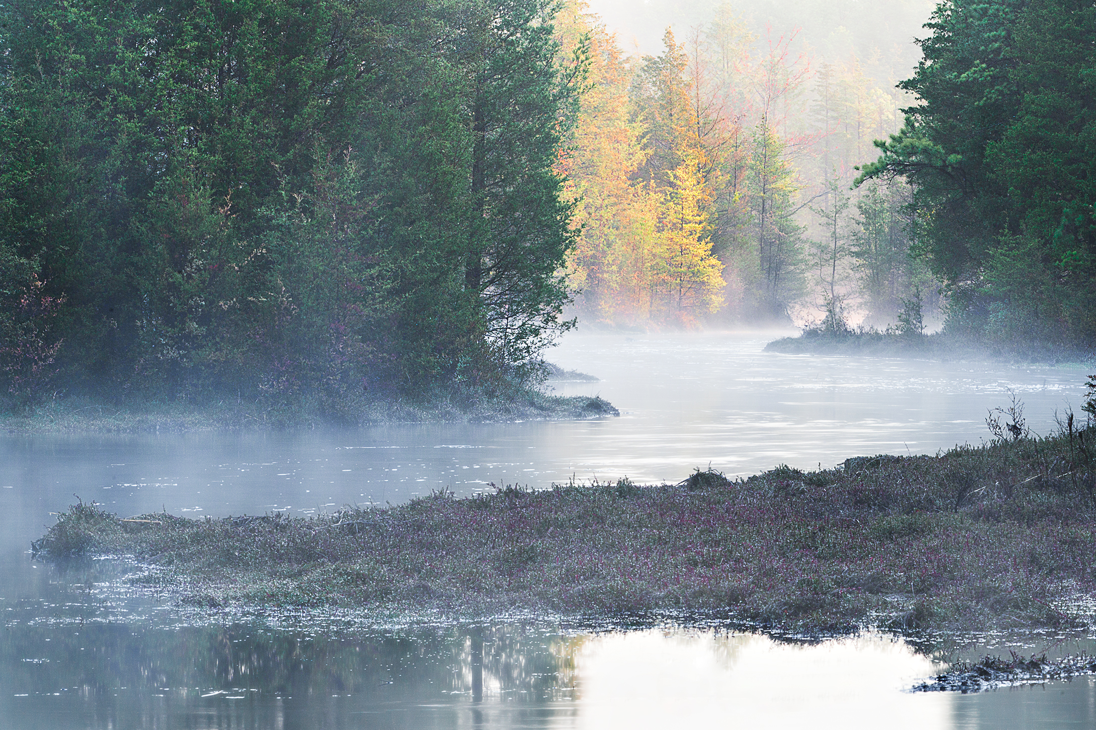Mullica River 2 Hour Atsion Lake to Lock's Bridge Pinelands