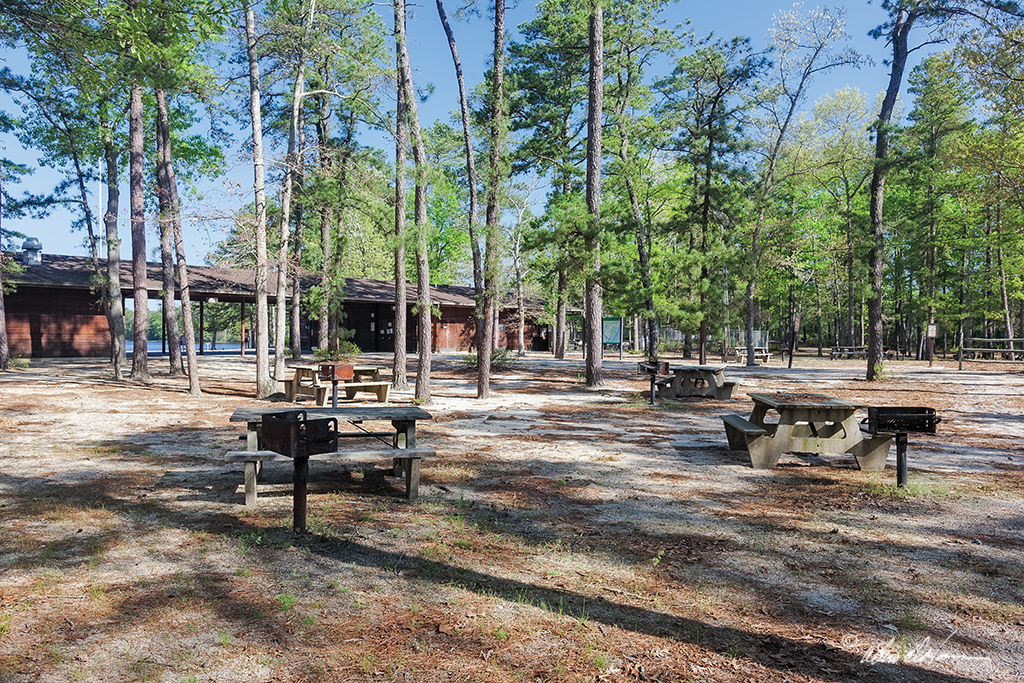 BassRiverStatePark Pinelands Adventures