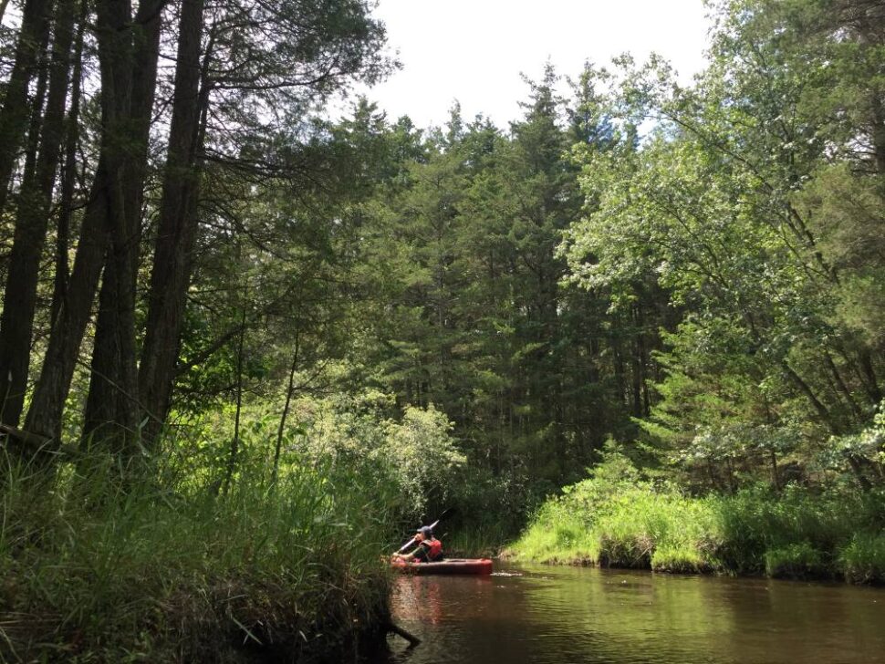 Kayaking Batsto River 
