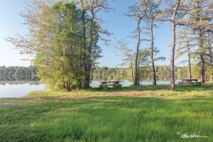 Lake Oswego New Jersey Pine Barrens