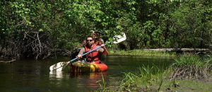 kayaking on the Batsto River