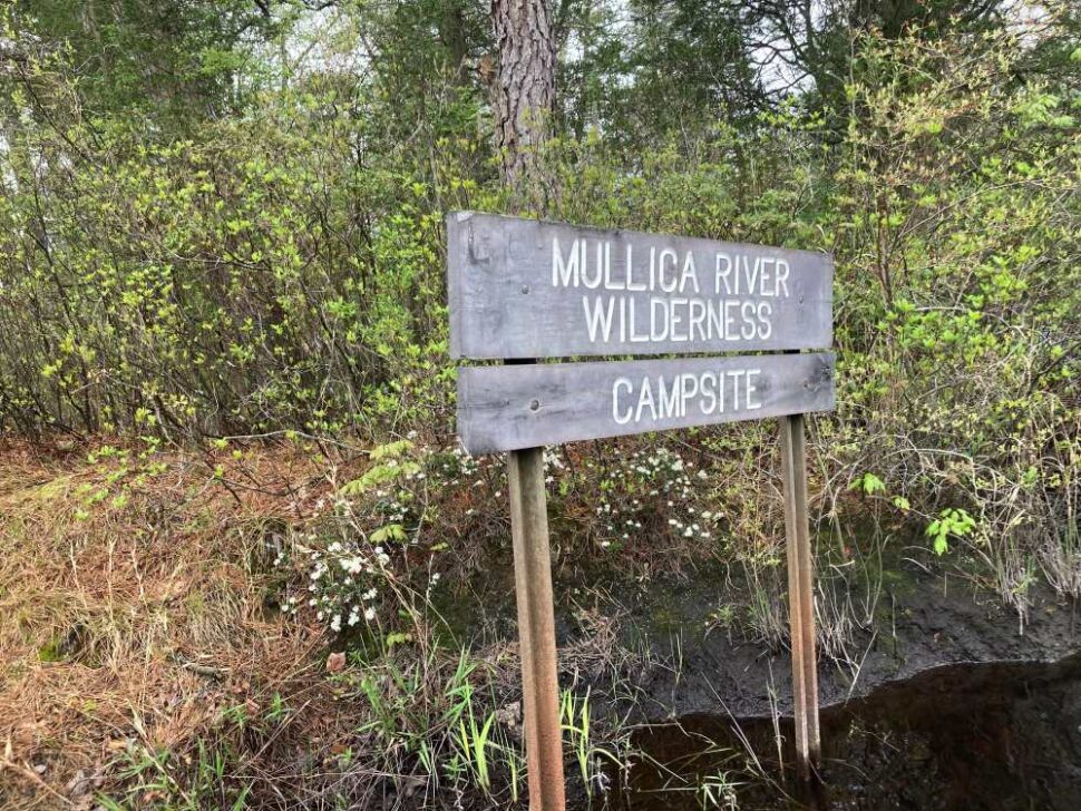Mullica River Wilderness