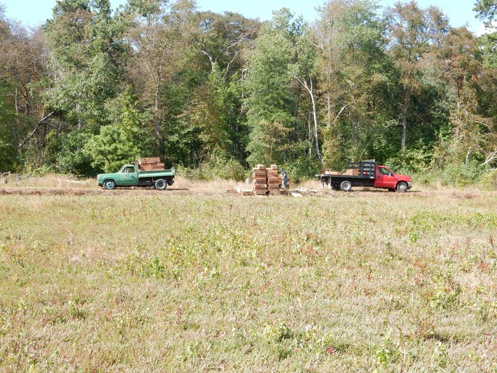 Cranberry Bog Tours New Jersey Pine Barrens