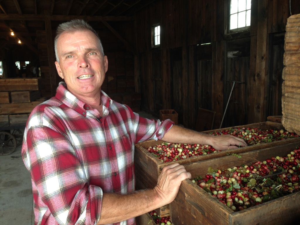 Cranberry Bog Tours New Jersey Pine Barrens