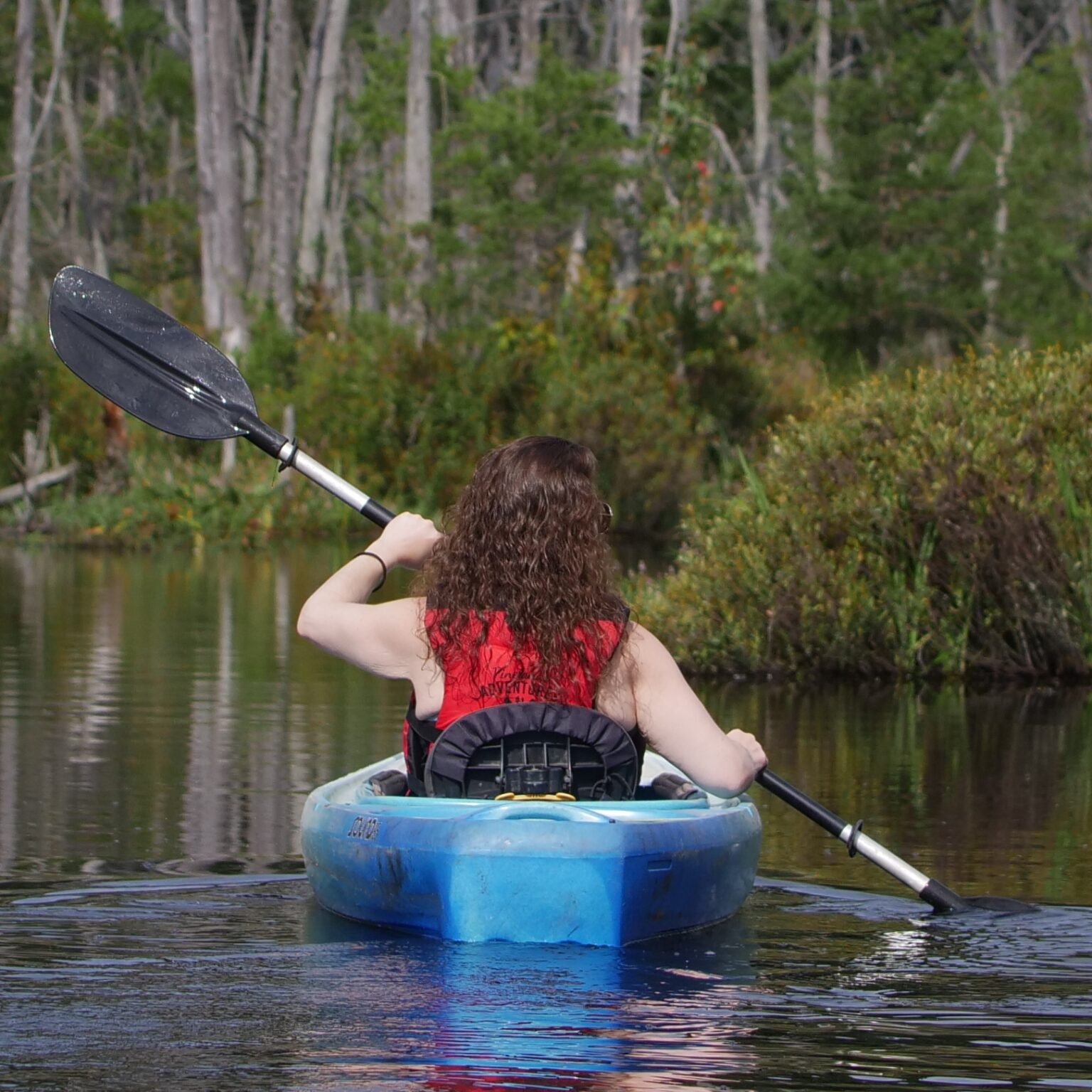 Pinelands Adventures Canoeing and Kayaking in the New Jersey Pine Barrens