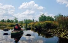 Photo of a woman kayaking on the Mullica River