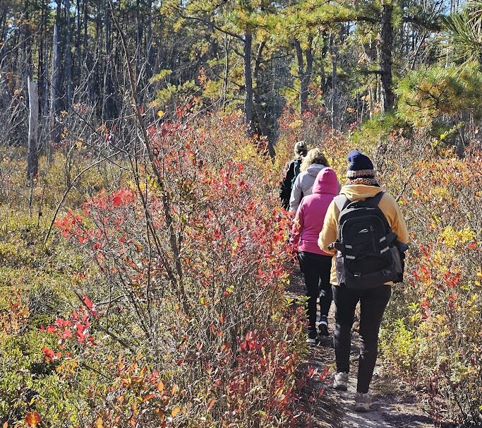 hikers in the pine barrens