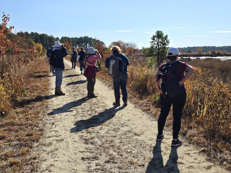 hikers in the pine barrens