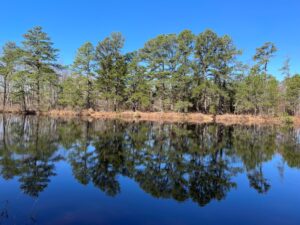 Rancocas Cranberry Preserve lake