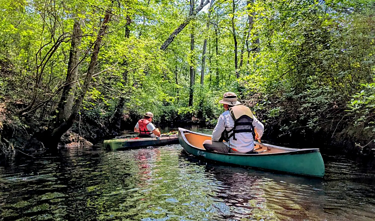 new jersey pine barrens mullica river