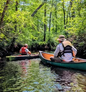 paddlers on the mullica river in the new jersey pine barrens