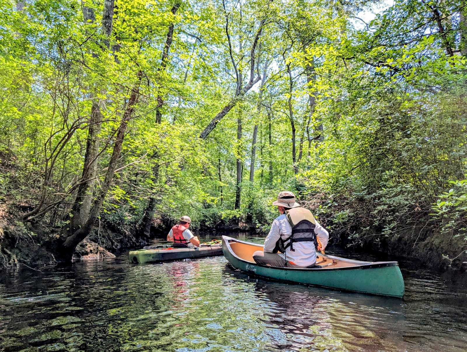 new jersey pine barrens mullica river