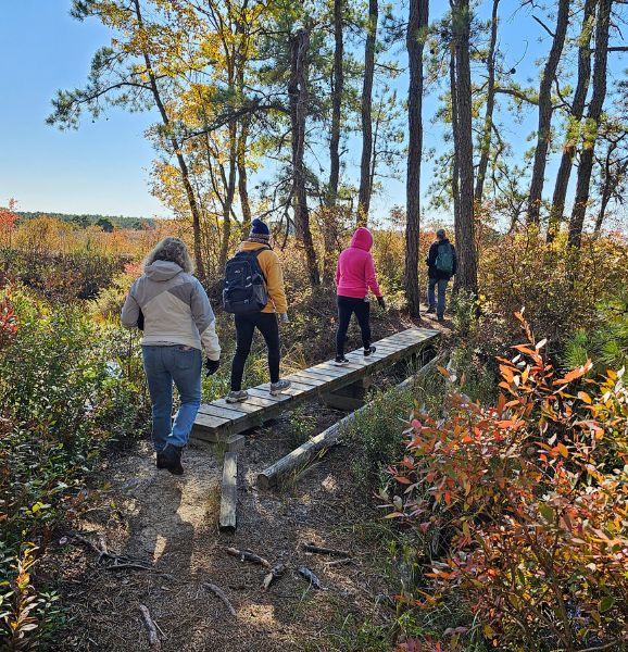 pine barrens hiking