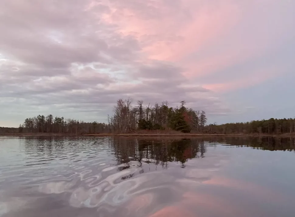 lake in the pine barrens at dusk